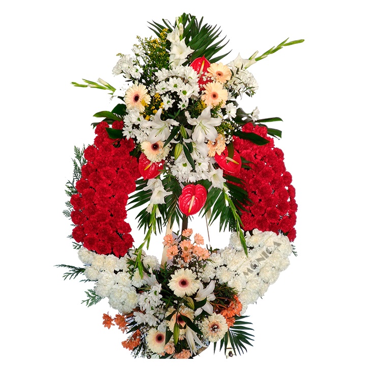 Corona dos colores dos cabezales