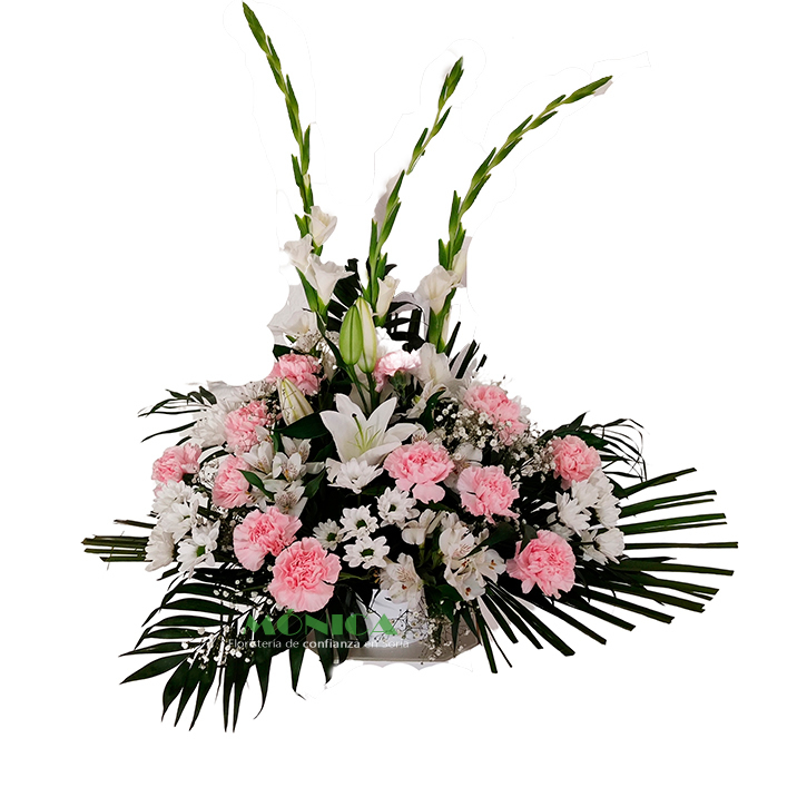 Centro vertical natural
