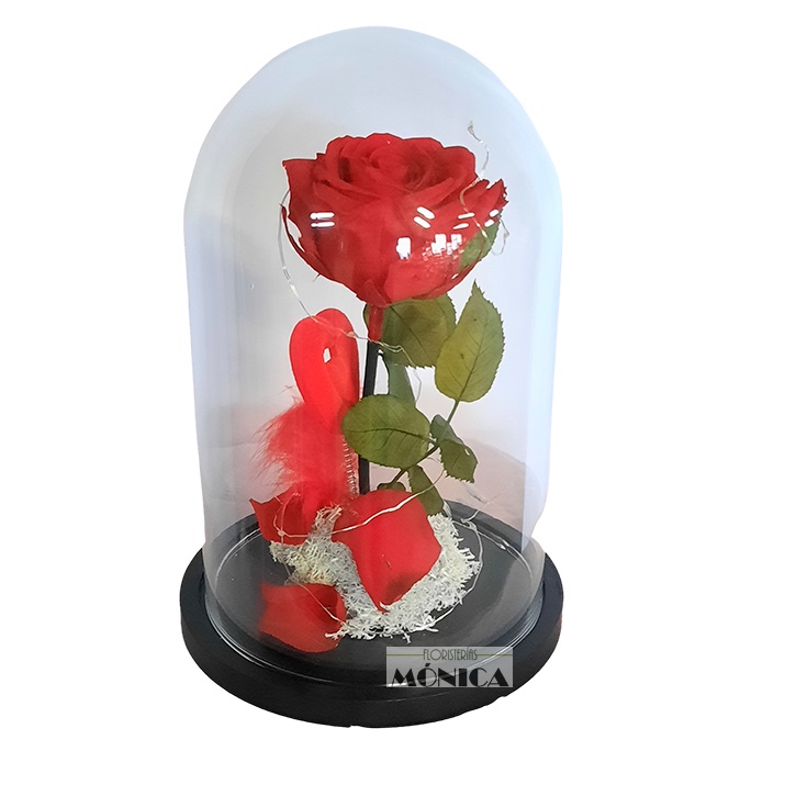 C&uacute;pula de cristal Bella y Bestia