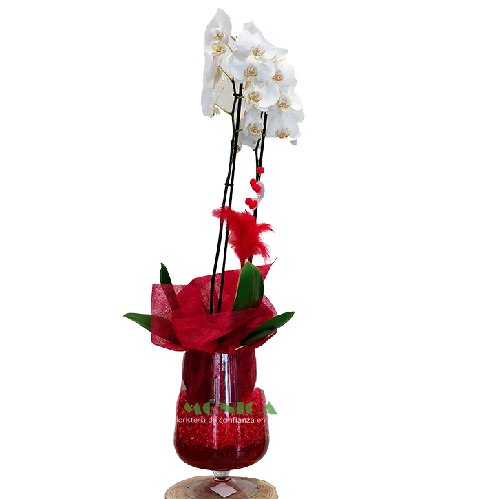 Orqu&iacute;dea en copa de cristal