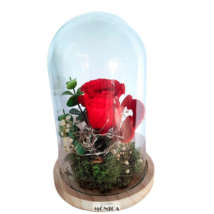 C&uacute;pula Mediana