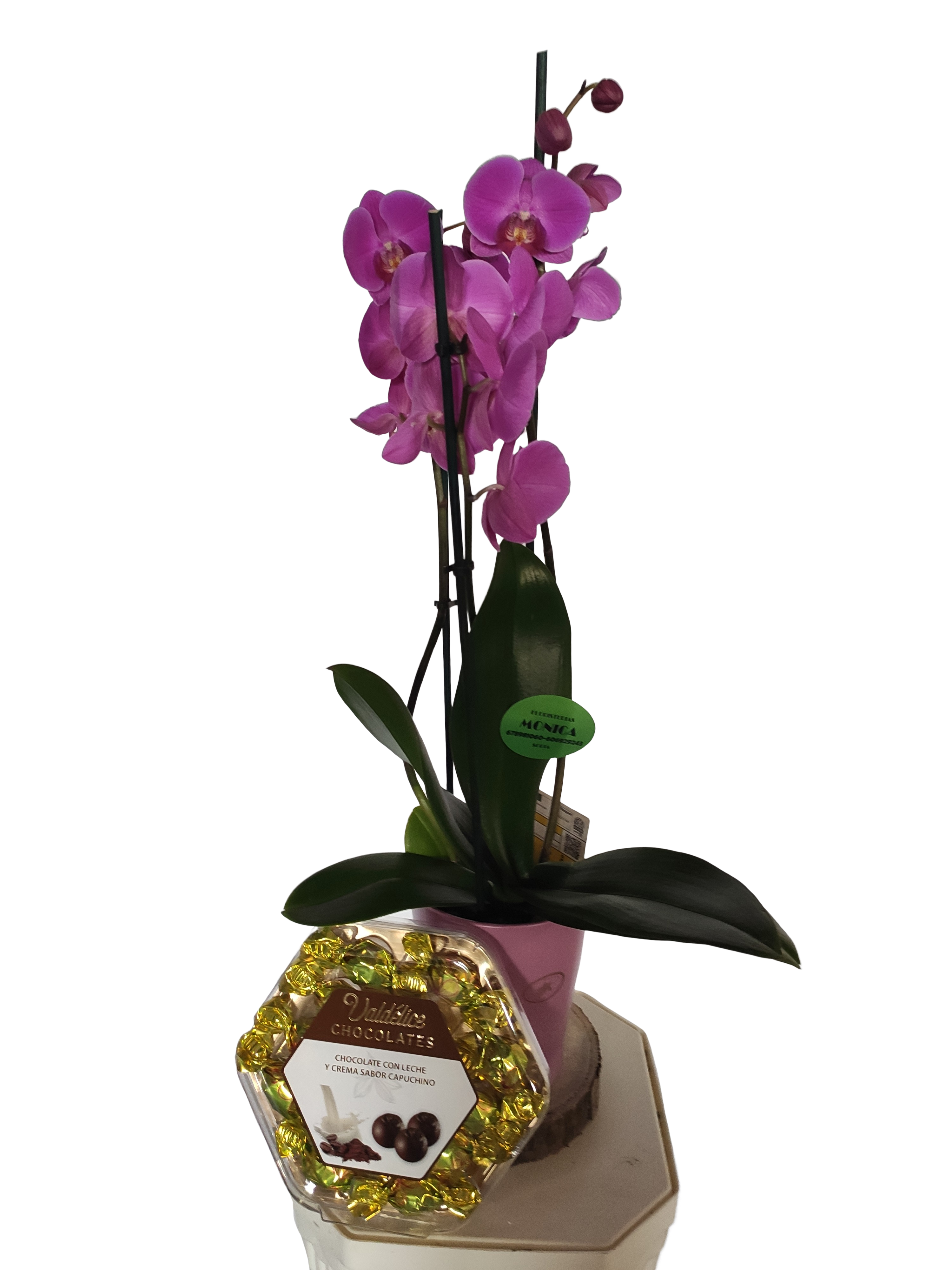 Orqu&iacute;dea con macetero y bombones