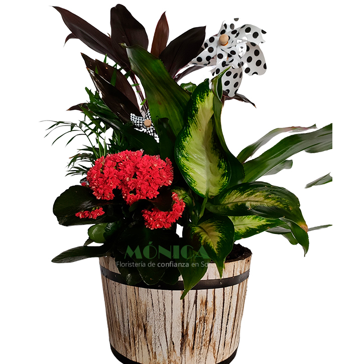 Cesta r&uacute;stica con molinillos