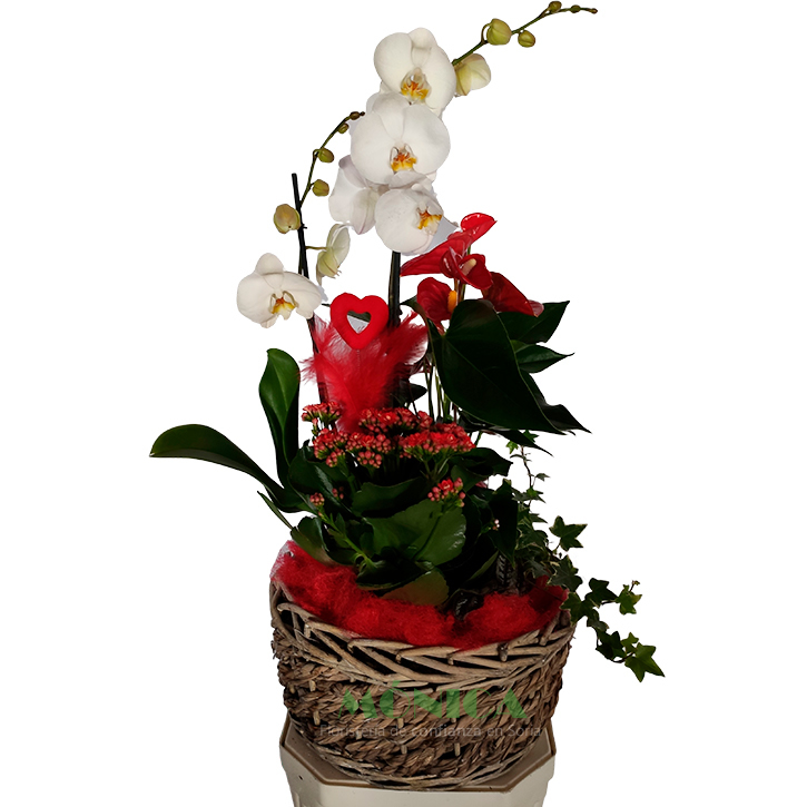 Cesta r&uacute;stica de m&uacute;ltiples plantas