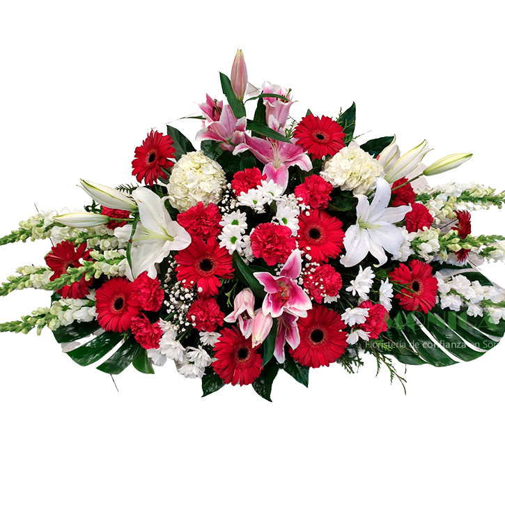  Almohad&oacute;n floral